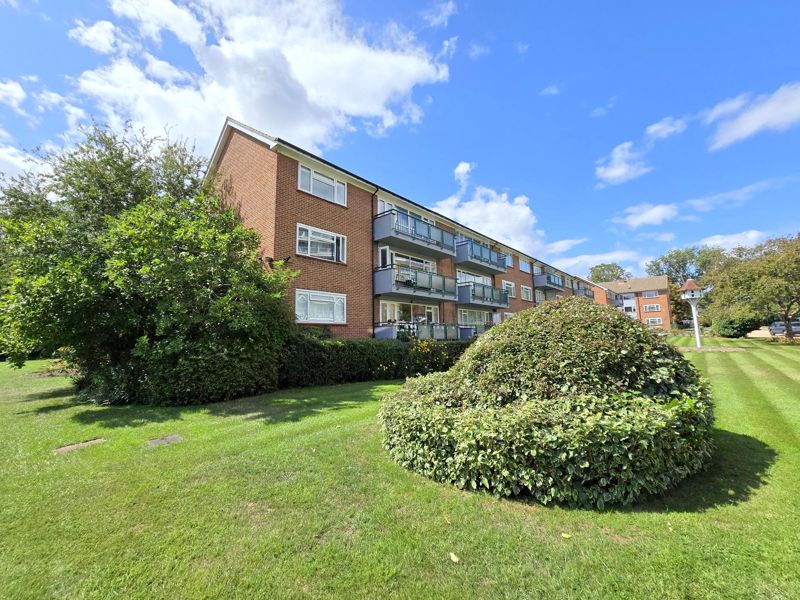 Main Image